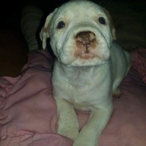 Meet your Posher, Jeffrey